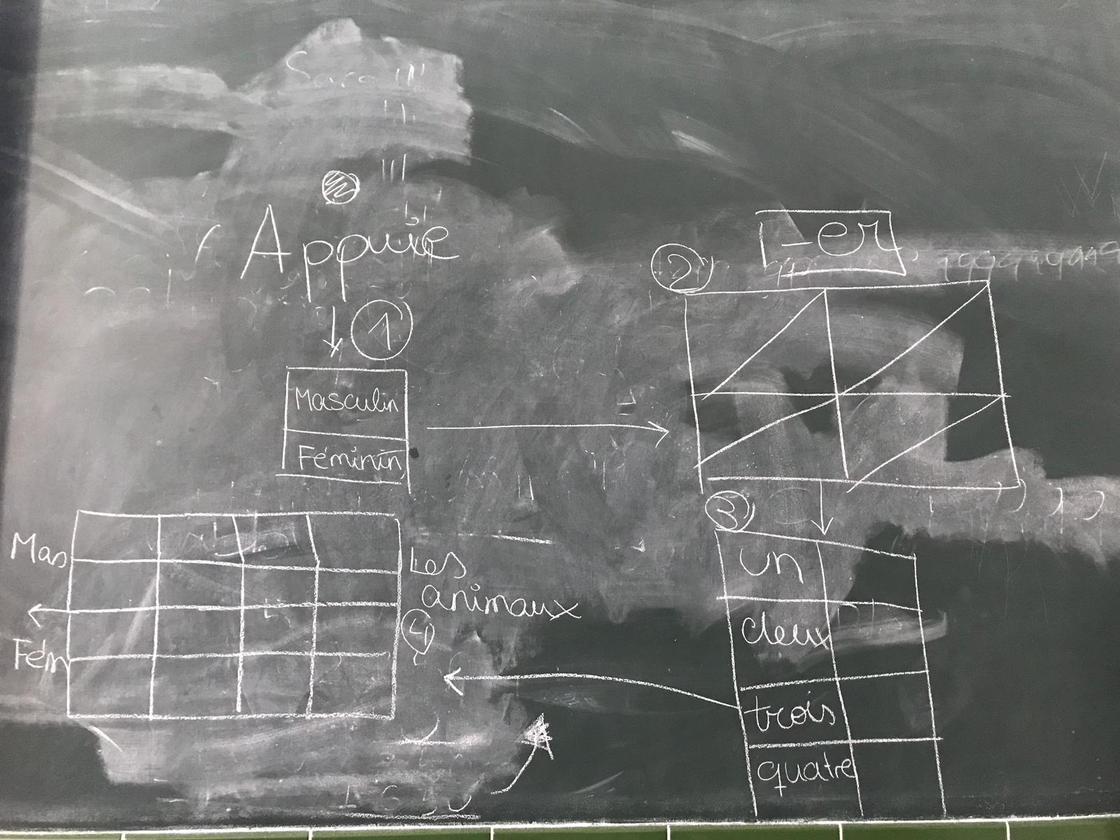 WhatsApp Image 2019-01-27 at 15.15.13.jpeg