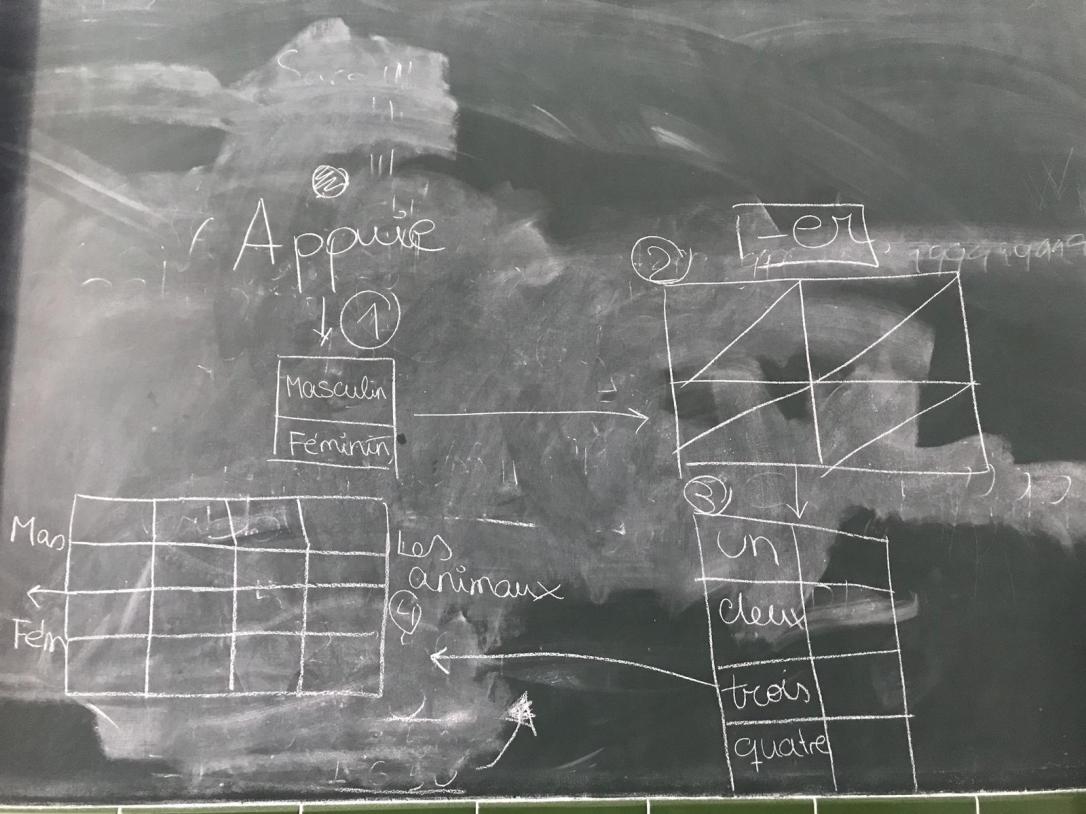 WhatsApp Image 2019-01-27 at 15.15.13.jpeg