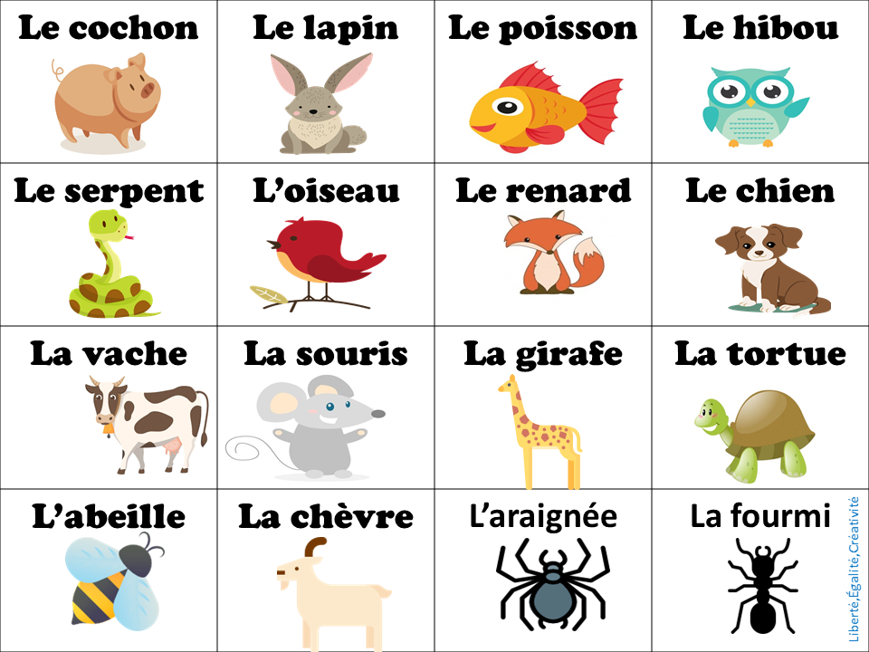 vocabulario les animaux